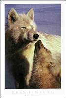 Wolf Harmony-White Fine Art Print