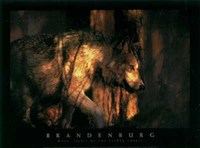 Wolf Spirit of the Sacred Fine Art Print