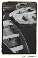 5 at Rest Fine Art Print