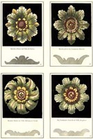 Mini Rosettes Fine Art Print