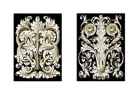 Mini Scroll Fine Art Print