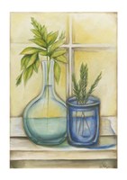 Sunkissed Herbs I Fine Art Print