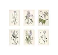 Purple Botanicals Giclee