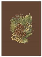 Fruit on Burgundy I Fine Art Print