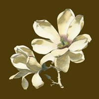 Magnolia on Taupe I Fine Art Print
