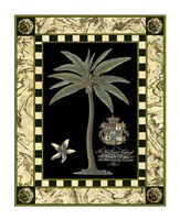 Bordered Palms on Black I Fine Art Print