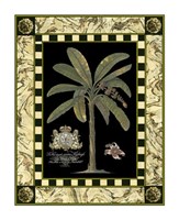 Bordered Palms on Black II Fine Art Print