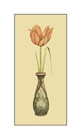 Tulip in Vase I Fine Art Print