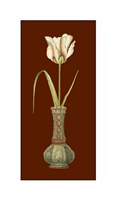 Tulip in Vase IV Fine Art Print
