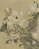 Magnolia and Butterfly by Chariklia Zarris - various sizes