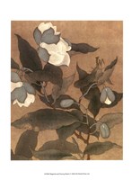 Magnolia and Praying Mantis Fine Art Print