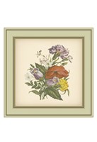 Tuscany Bouquet (P) XI Fine Art Print