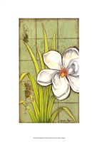 Sugar Magnolia (P) I Fine Art Print