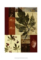 Leaf Print Collage (U) III Fine Art Print