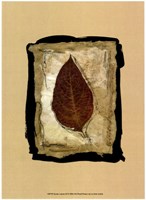 Kyoto Leaves III Fine Art Print