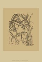 Orchid on Khaki(WG) I Fine Art Print