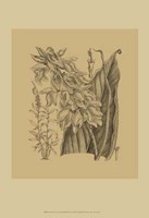 Orchid on Khaki(WG) III Fine Art Print