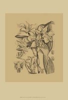Orchid on Khaki(WG) V Fine Art Print