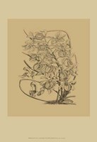 Orchid on Khaki(WG) VI Fine Art Print