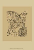 Orchid on Khaki(WG) VIII Fine Art Print