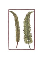 Vintage Leaf I Fine Art Print