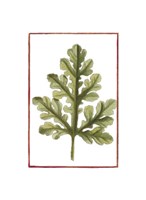 Vintage Leaf II Fine Art Print