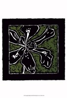 Tropical Woodblock III Fine Art Print