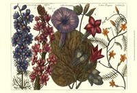 Printed Arena Botanical IV Fine Art Print