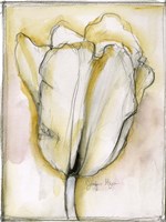 Fluid Beauty I Fine Art Print