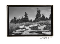 Rocky Green Fine Art Print