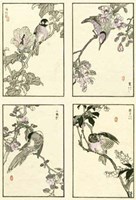 Woodblock Oriental Birds Fine Art Print