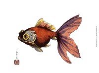 Oriental Fish II Fine Art Print