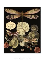 Whimsical Dragonfly on Black II Fine Art Print