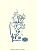 Shades of Aqua I Framed Print