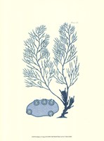 Shades of Aqua II Framed Print