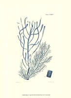 Shades of Aqua III Framed Print