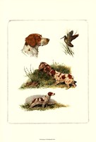 Brittany Fine Art Print