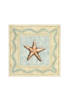 Shell Collector III Fine Art Print