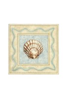 Shell Collector IV Fine Art Print