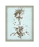 Imperiale on Blue Giclee