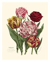 Burst of Spring II Giclee