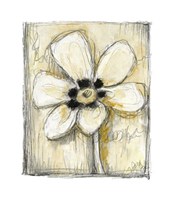 Kinetic Blooms IV Giclee