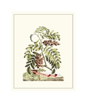 Grandiose View I Giclee