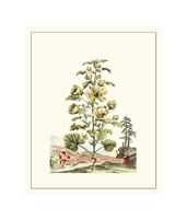 Grandiose View II Giclee