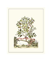 Grandiose View III Giclee