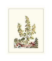 Grandiose View IV Giclee