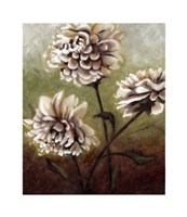 Eastern Dahlias II Giclee