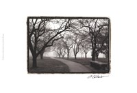 Foggy Morning Walk Giclee