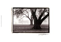 Strength ; Beauty Giclee