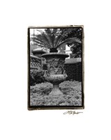 Garden Urn Giclee